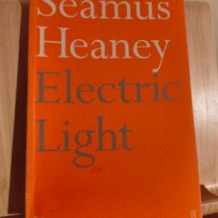 Electric Light by Seamus Heaney