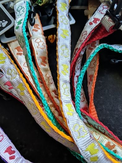 Cat collar with bell