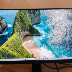 BenQ GW2480 24 Full HD IPS Monitor