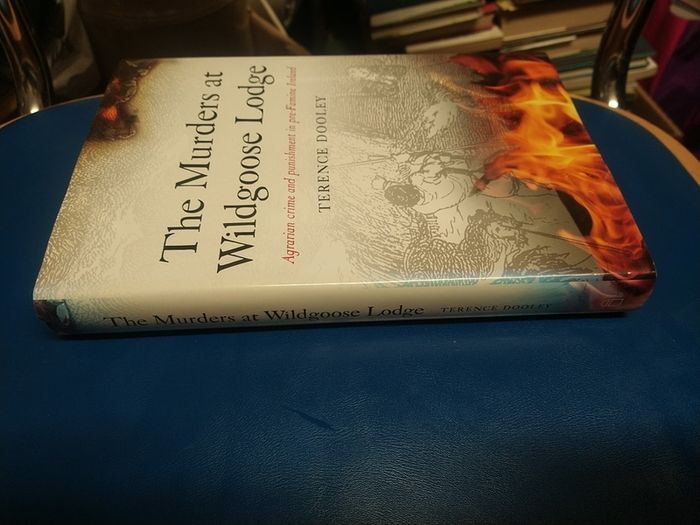 The Murders at Wildgoose Lodge - Terence Dooley