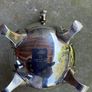 Newbridge silver plated tea & coffee set Image 2