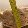 basket Image 3