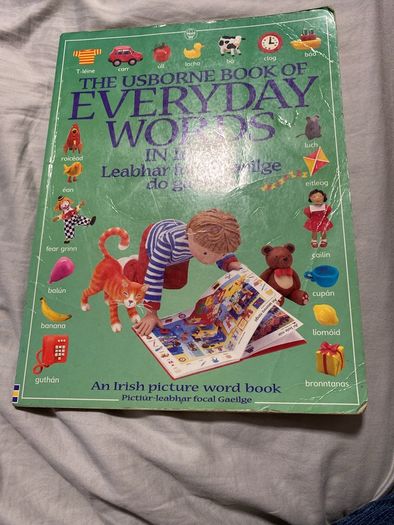 Irish language children's book