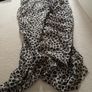 Leopard print long Scarf Image 2