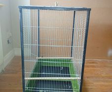 bird cage