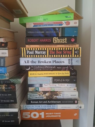 large collection of books