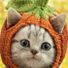 shooberroobun027