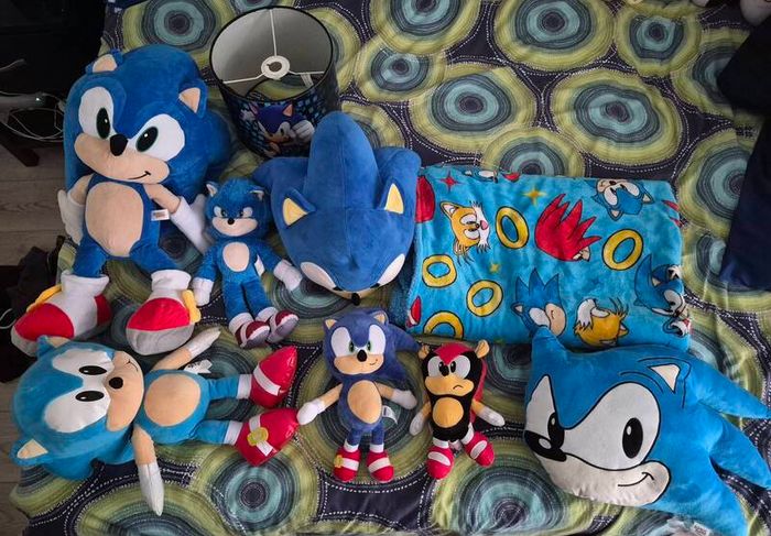 sonic the hedgehog