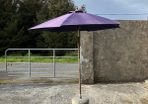 Parasol