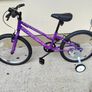Apollo Envy Kid's Bike (6-9-Years) Image 2