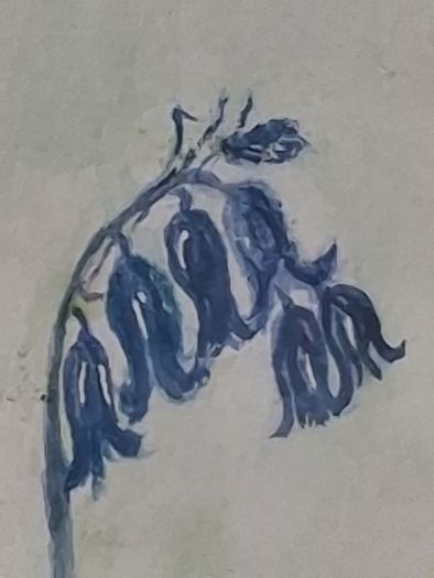 Framed Floral Watercolour