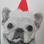 Pet portraits Image 3