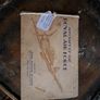 Vintage Aircraft Royal Air Force Image 2