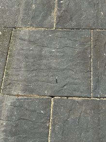Slabs