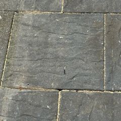 Slabs