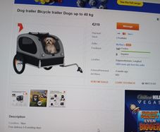 dog bike