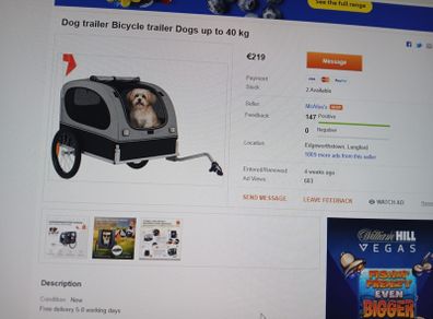 dog bike