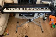 Roland Digital keyboard Piano (76 weight keys) in good condition