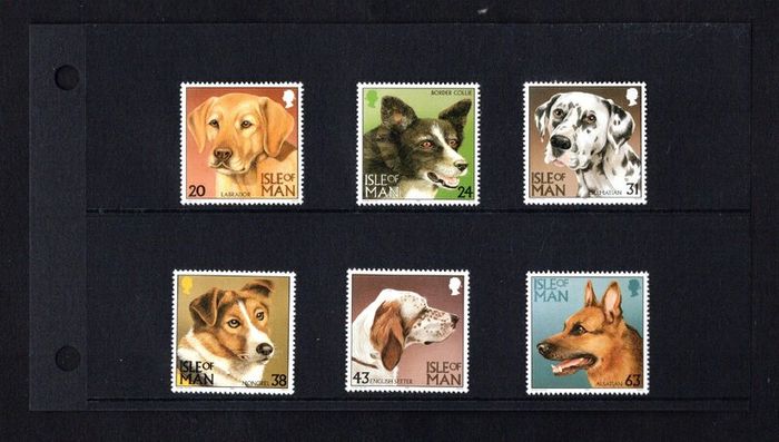 1996 Isle of Man Dogs Commemorative Stamps Presentation Pack
