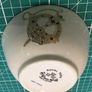 Royal Tara Tara Brooch Fine Bone China Aer Lingus Sugar Bowl Image 6