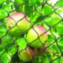 Anti Bird protection netting Image 8