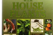 Success With House Plants - The Readers Digest