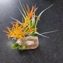 Aquarium Fish Tank Ornament Image 2