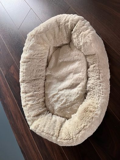 cat bed