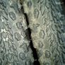 Clement MSO 700x50c bicycle tyres Almost new On3n3ss Image 2