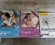 TY transitional year books