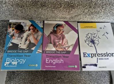 TY transitional year books