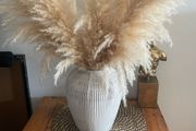 vase with dry plants