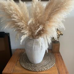 vase with dry plants