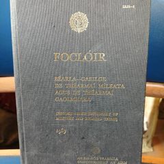 Irish Army dictionary (1969)