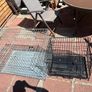 Dog cages Image 3