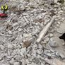 Free Rubble Image 2