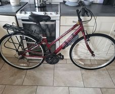 ladies bike