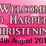 Christening Day Banner Personalised to your needs - just ask? Image 5