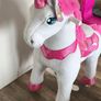 Ponycycle Image 3