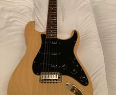 Partscaster Strat