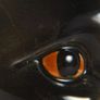 Large Goebel West Germany cat statue Image 6