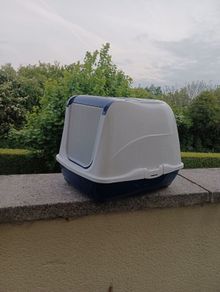 cat litter box