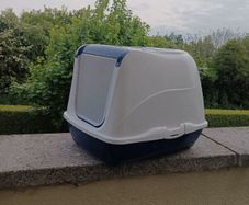cat litter box