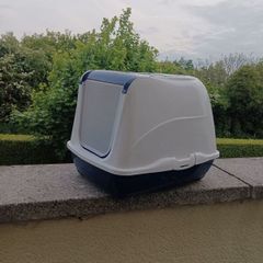 cat litter box