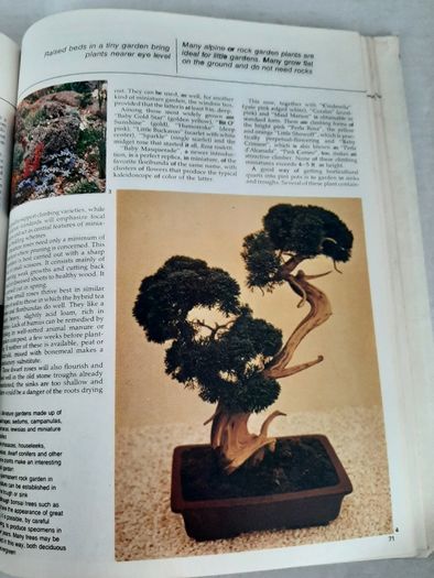 vintage new book flowers for everywhere 1974