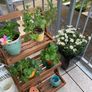 Solid Acacia Wood Flower Stand Plant Stand Flower Stairs Plant Stairs Flower Shelf Flower Bench Garden Shelf 3 Levels Image 5
