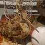 2 Taxidermy Birds Image 3