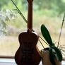 Ukulele with Free Tuner and Case Image 4