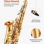 Alto Saxophone E-Flat Beginner Brass Saxophone Kit with Case (23 Keys) Image 2