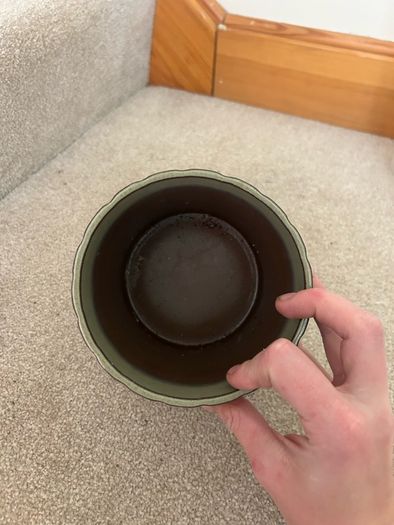 Olive Green Teracotta Plant Pot
